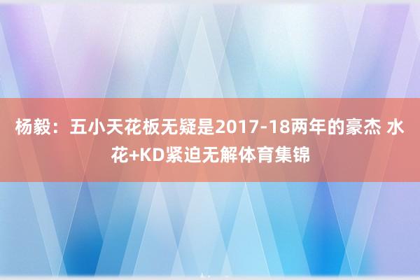 杨毅：五小天花板无疑是2017-18两年的豪杰 水花+KD紧迫无解体育集锦
