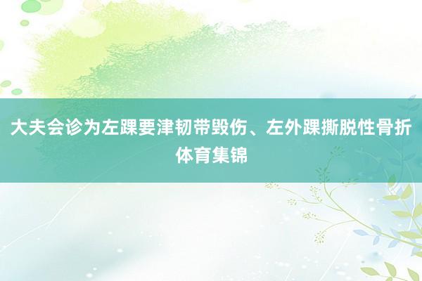 大夫会诊为左踝要津韧带毁伤、左外踝撕脱性骨折体育集锦