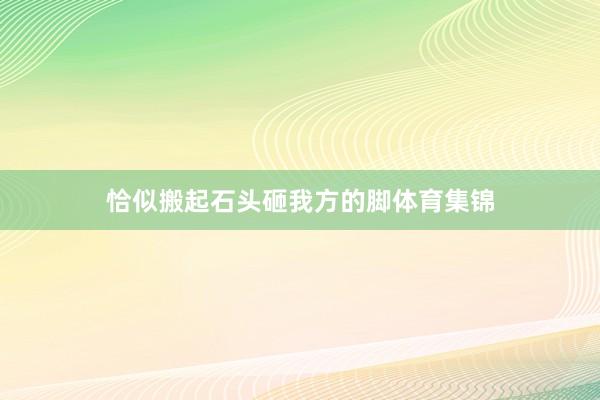 恰似搬起石头砸我方的脚体育集锦