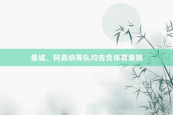 曼城、阿森纳等队均告负体育集锦