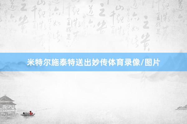 米特尔施泰特送出妙传体育录像/图片