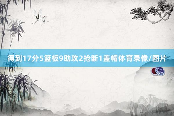 得到17分5篮板9助攻2抢断1盖帽体育录像/图片