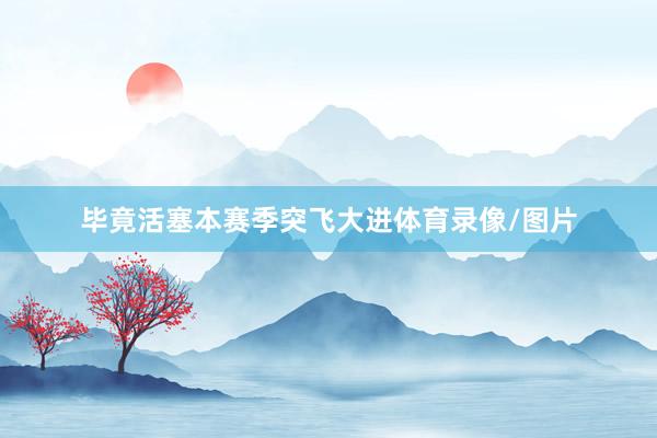 毕竟活塞本赛季突飞大进体育录像/图片