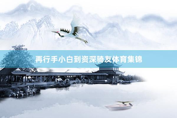 再行手小白到资深骑友体育集锦