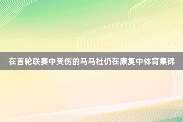 在首轮联赛中受伤的马马杜仍在康复中体育集锦