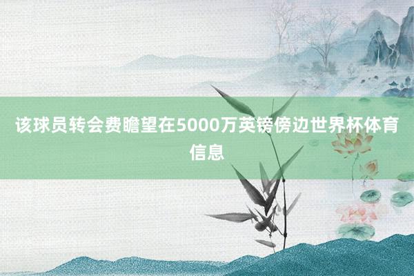 该球员转会费瞻望在5000万英镑傍边世界杯体育信息