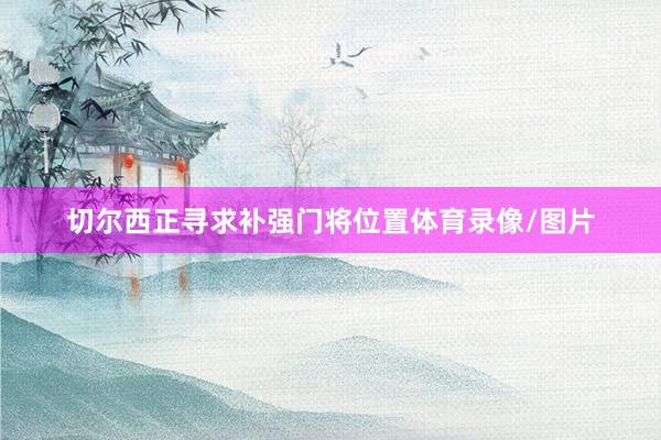 切尔西正寻求补强门将位置体育录像/图片