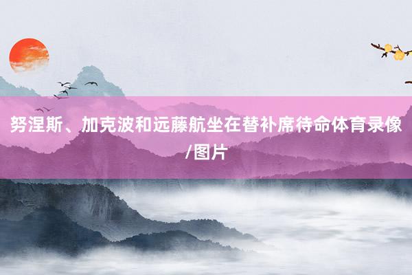 努涅斯、加克波和远藤航坐在替补席待命体育录像/图片