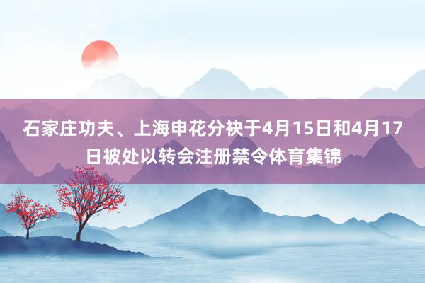 石家庄功夫、上海申花分袂于4月15日和4月17日被处以转会注册禁令体育集锦