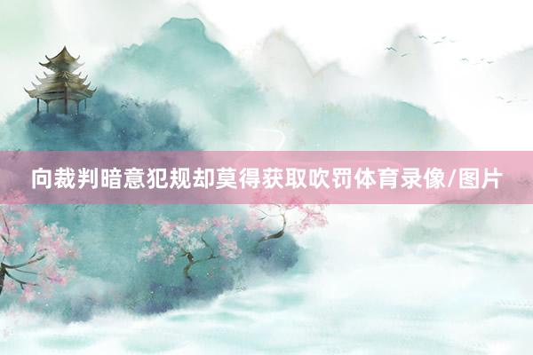 向裁判暗意犯规却莫得获取吹罚体育录像/图片