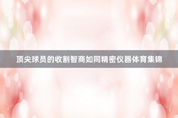 顶尖球员的收割智商如同精密仪器体育集锦