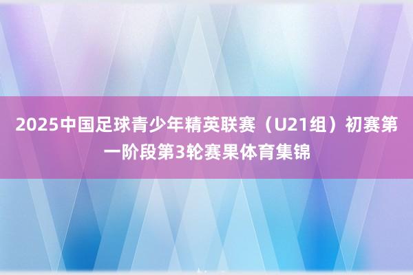 2025中国足球青少年精英联赛（U21组）初赛第一阶段第3轮赛果体育集锦