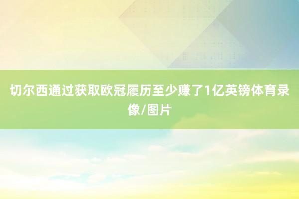 切尔西通过获取欧冠履历至少赚了1亿英镑体育录像/图片