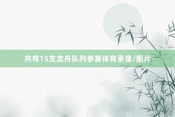 共有15支龙舟队列参赛体育录像/图片