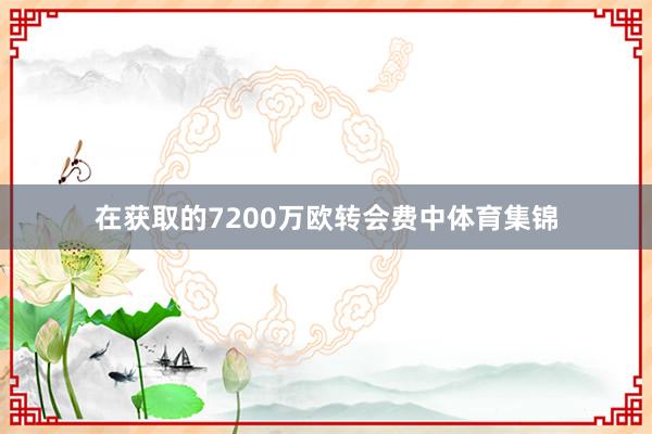 在获取的7200万欧转会费中体育集锦
