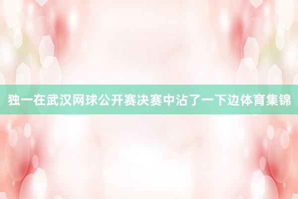 独一在武汉网球公开赛决赛中沾了一下边体育集锦