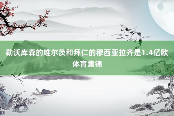 勒沃库森的维尔茨和拜仁的穆西亚拉齐是1.4亿欧体育集锦