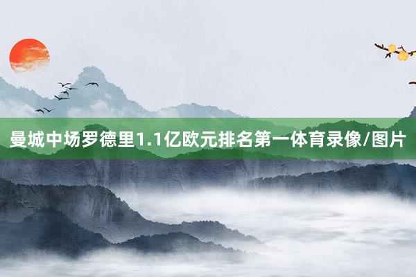 曼城中场罗德里1.1亿欧元排名第一体育录像/图片