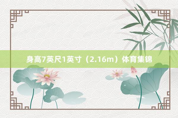 身高7英尺1英寸（2.16m）体育集锦