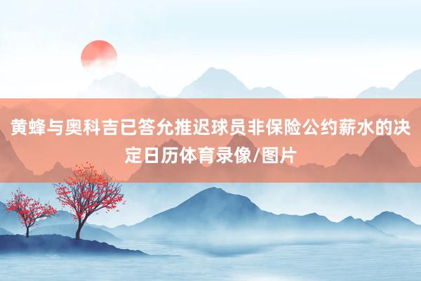 黄蜂与奥科吉已答允推迟球员非保险公约薪水的决定日历体育录像/图片