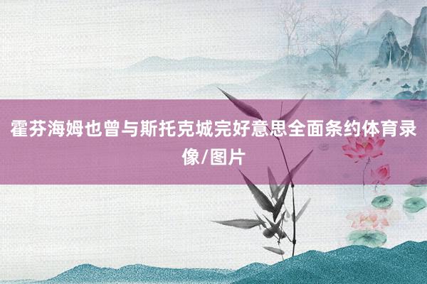 霍芬海姆也曾与斯托克城完好意思全面条约体育录像/图片