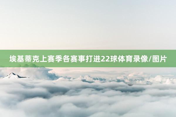 埃基蒂克上赛季各赛事打进22球体育录像/图片