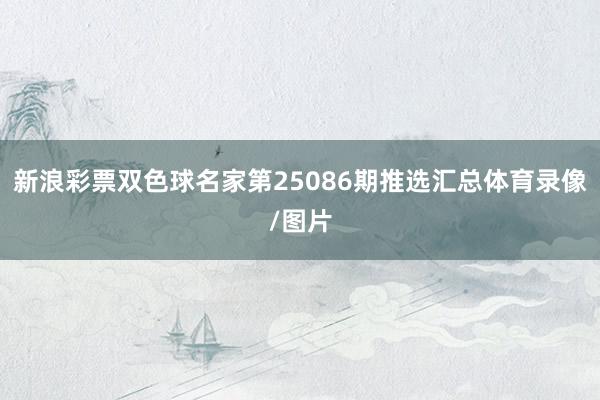 新浪彩票双色球名家第25086期推选汇总体育录像/图片