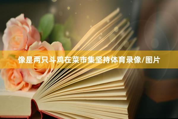 像是两只斗鸡在菜市集坚持体育录像/图片