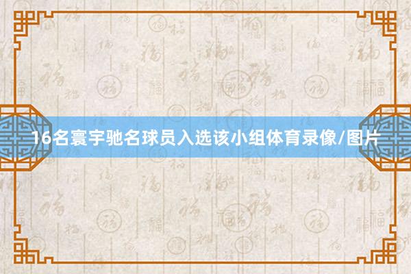 16名寰宇驰名球员入选该小组体育录像/图片