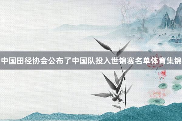 中国田径协会公布了中国队投入世锦赛名单体育集锦