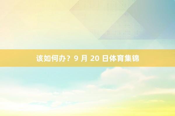 该如何办?9 月 20 日体育集锦