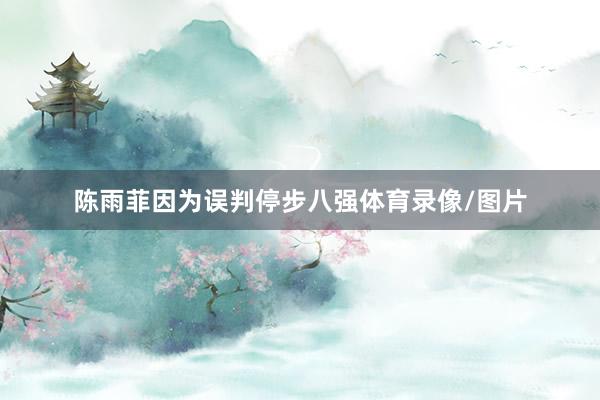 陈雨菲因为误判停步八强体育录像/图片