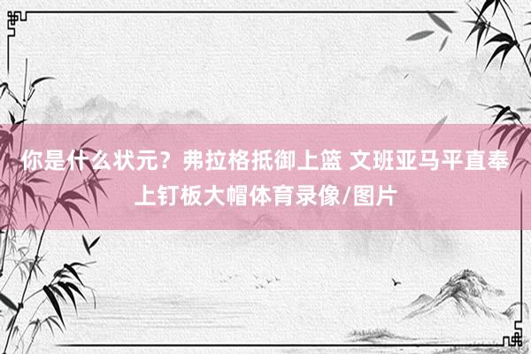 你是什么状元？弗拉格抵御上篮 文班亚马平直奉上钉板大帽体育录像/图片