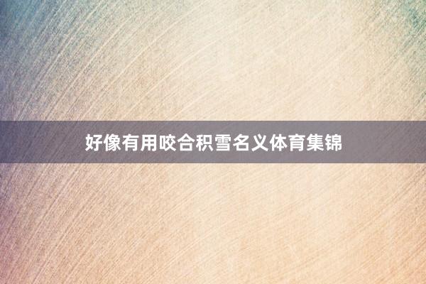 好像有用咬合积雪名义体育集锦