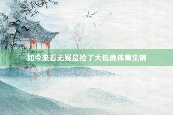 如今来看无疑是捡了大低廉体育集锦