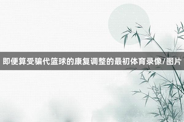 即便算受骗代篮球的康复调整的最初体育录像/图片