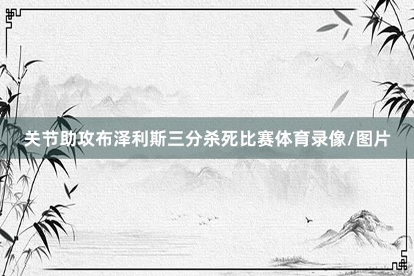 关节助攻布泽利斯三分杀死比赛体育录像/图片