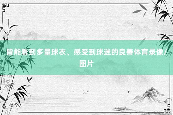 皆能看到多量球衣、感受到球迷的良善体育录像/图片