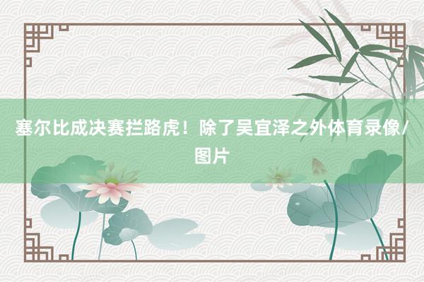 塞尔比成决赛拦路虎！除了吴宜泽之外体育录像/图片