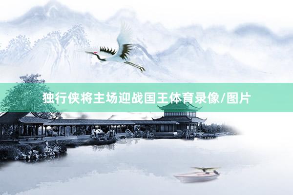 独行侠将主场迎战国王体育录像/图片