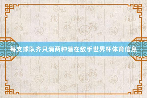 每支球队齐只消两种潜在敌手世界杯体育信息