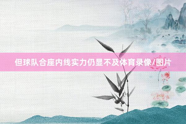 但球队合座内线实力仍显不及体育录像/图片