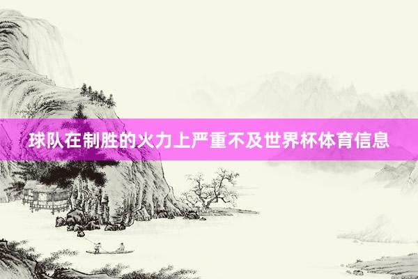 球队在制胜的火力上严重不及世界杯体育信息