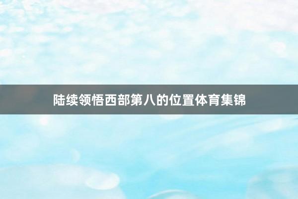 陆续领悟西部第八的位置体育集锦