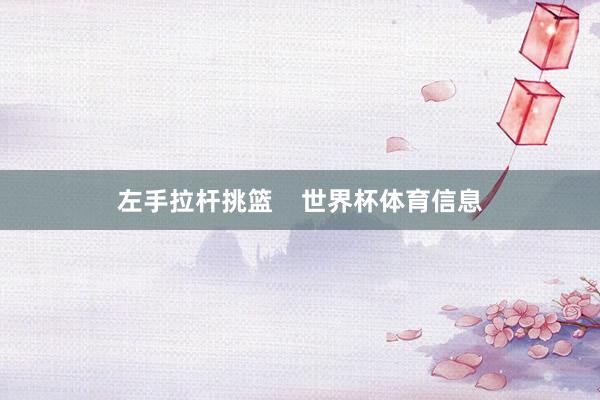 左手拉杆挑篮    世界杯体育信息