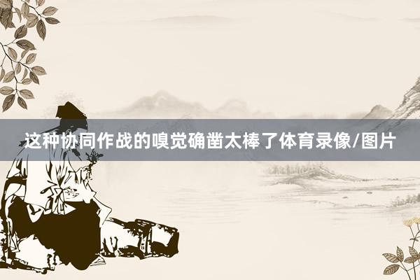 这种协同作战的嗅觉确凿太棒了体育录像/图片