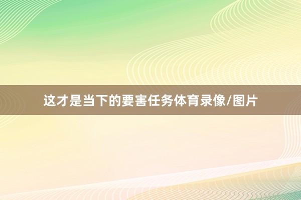 这才是当下的要害任务体育录像/图片