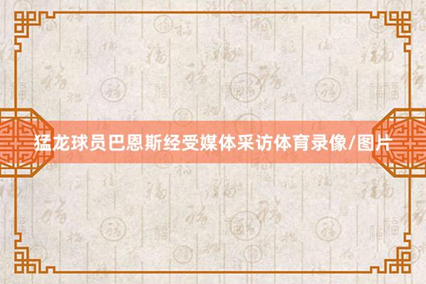 猛龙球员巴恩斯经受媒体采访体育录像/图片