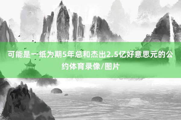 可能是一纸为期5年总和杰出2.5亿好意思元的公约体育录像/图片