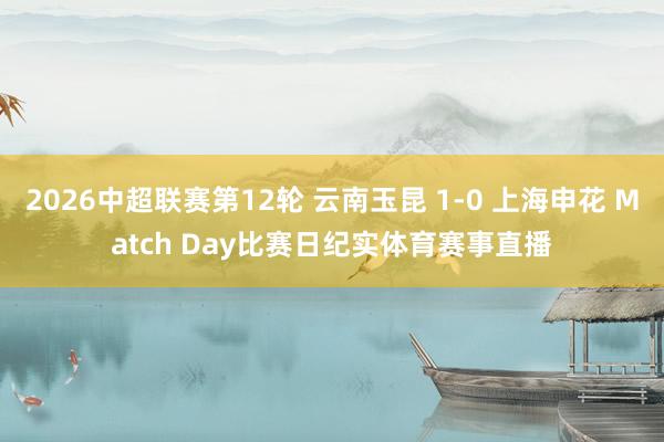 2026中超联赛第12轮 云南玉昆 1-0 上海申花 Match Day比赛日纪实体育赛事直播